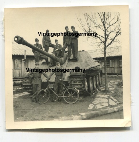D9932 foto erbeuteter - foto,